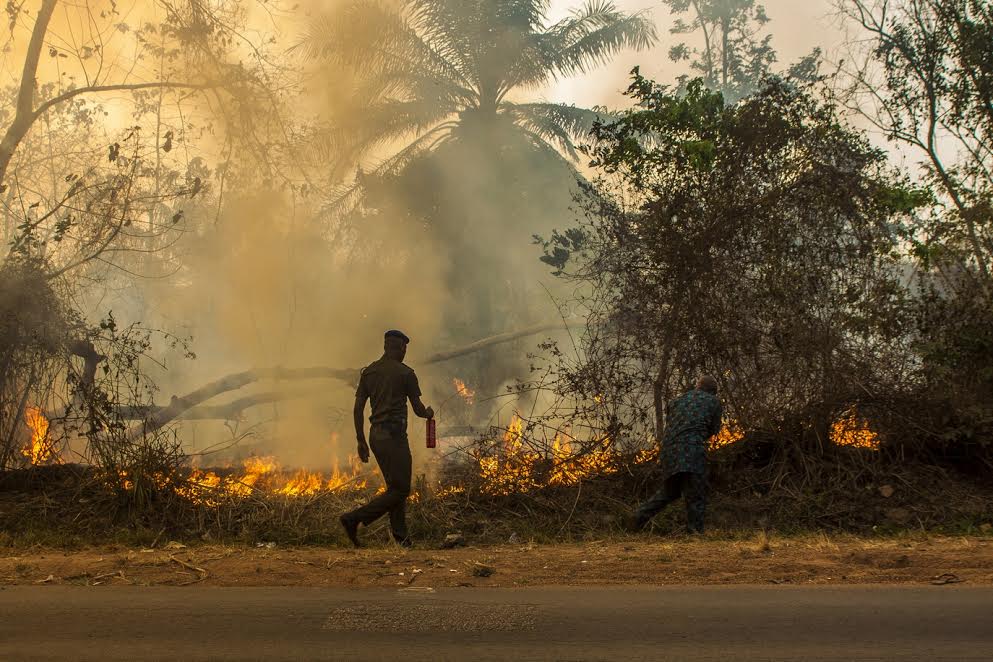 Aregbesola Fights Wild Fire in Sekona1