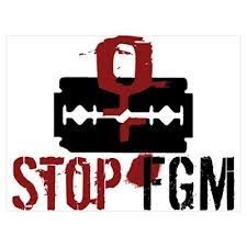 FGM: We Are Achieving Positive Results With Support Of NGOs – Osun Govt