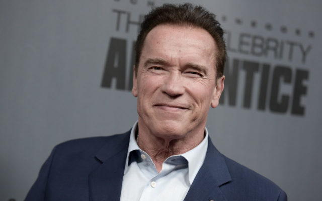Hollywood star Schwarzenegger Attacked In SA