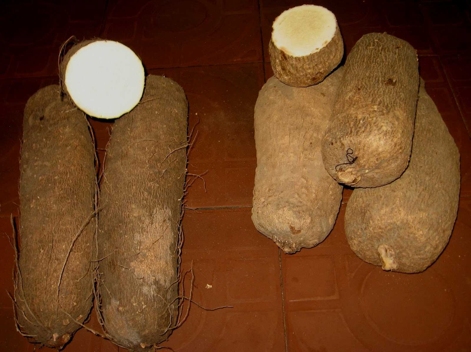 Nigeria Set To Begin Yam Exportation To China, Others By July – Ogbeh