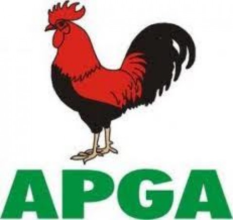 APGA Sacks National Chairman, Announces Replacement