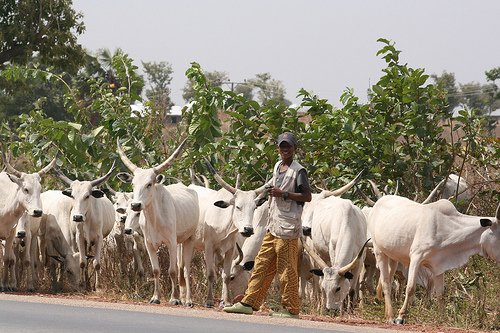 Farmers’/Herdsmen Clashes: KWSG to Strengthen LG Security Committees