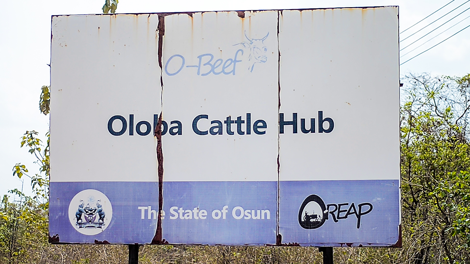 O-Beef: Osun Set To Dominate Beef Market In The South West