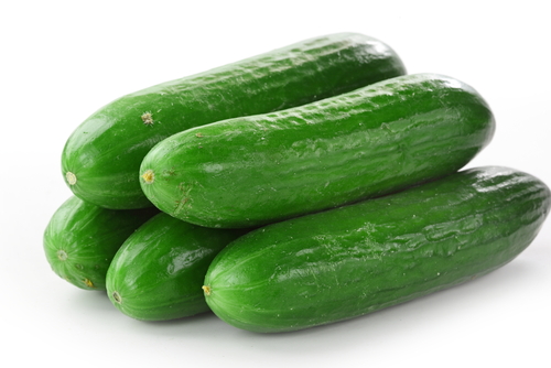 Cucumber farming in Nigeria – Business tips
