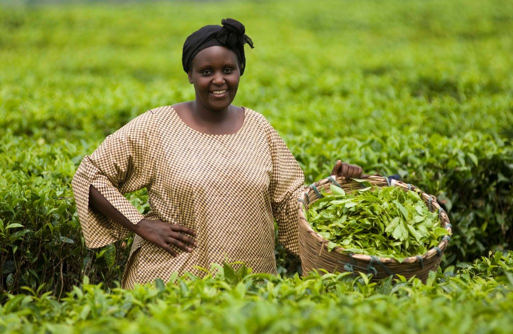 USAID Trains 80 Women, Youths On Agriculture