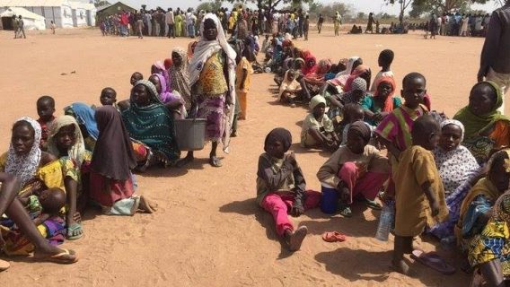 FAO Needs $232 Million to Feed Boko Haram Victims in Lake Chad