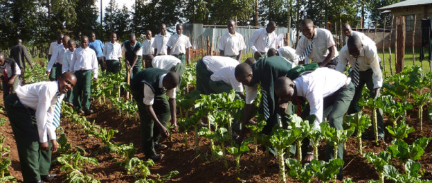Give Incentives To Agriculture Graduates, Expert Urges FG