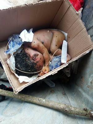 Dead baby dumped in a refuse site in Calabar
