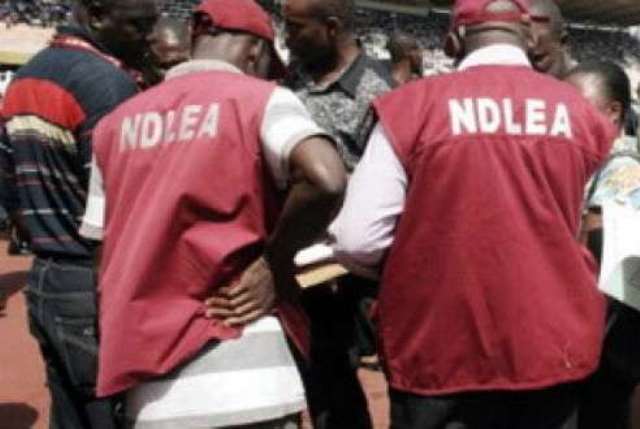 JUST IN: NDLEA Apprehends Drug Baron Behind N3bn Illicit Drugs Linked To DCP Kyari’s Team