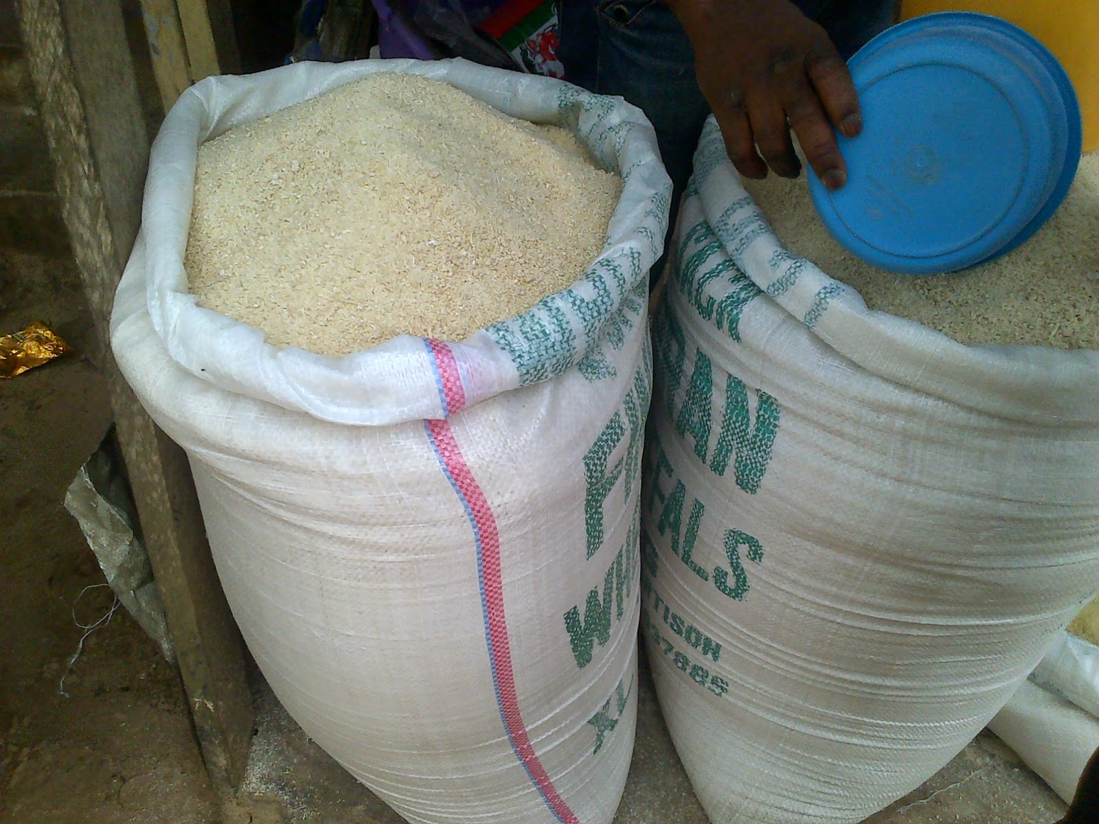 Enugu Residents Turn Cassava Farmers