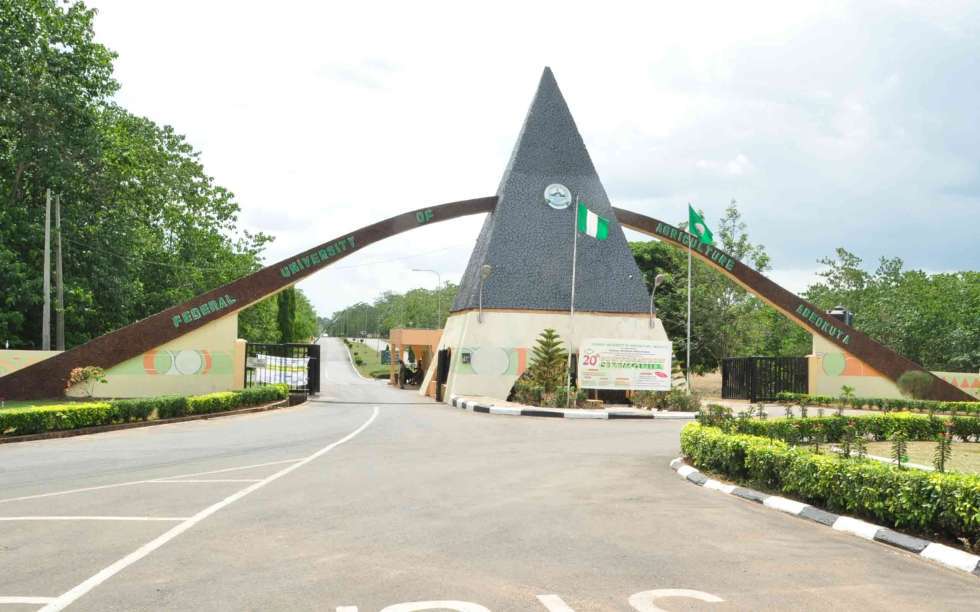 FUNAAB Lecturers Celebrate VC’s Sacking With Akara, Pap Meal