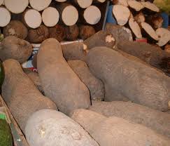 Nigeria To Export Yam To Europe At The End Of June