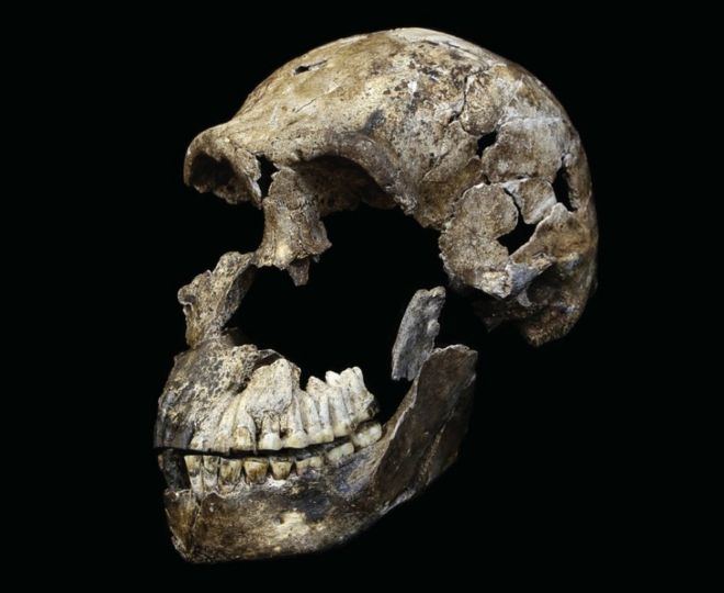 Amazing Haul of Ancient Human in South Africa Unveiled