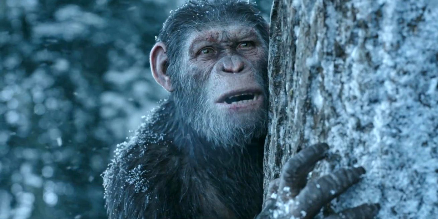 ‘War For The Planet Of The Apes’ Swings To Top Of US Box Office