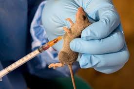 100 Hospital Workers Under Surveillance As Lassar Fever Kills Two In Lagos