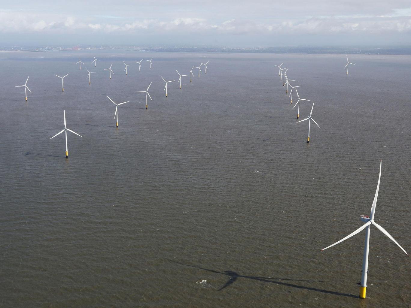 The Entire World Could Be Powered By A Deep-Sea Wind Farm, Scientists Find