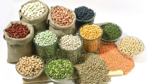 Kano State Inaugurates Seed Inspectors