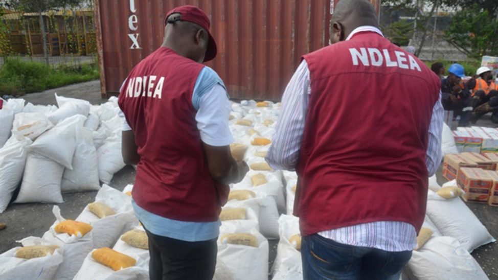 Again, NDLEA Storms Another Lagos Cartel, Seizes N5bn Drugs