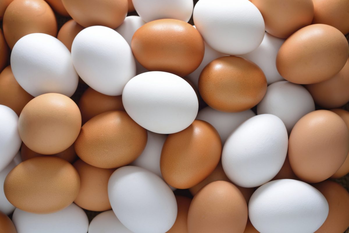 FG To Create One Million Jobs Through Egg Production