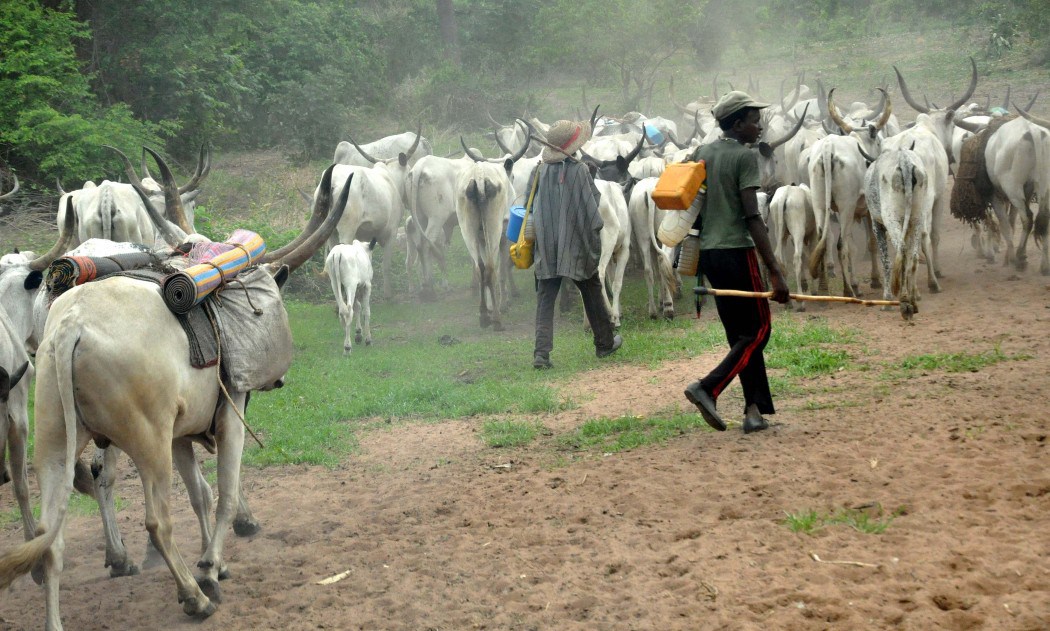 Suspected Fulani Herdsmen Kill Nine In Kaduna