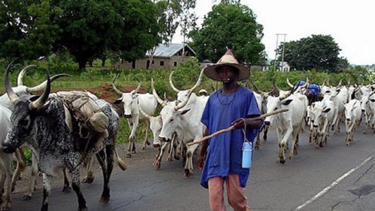 Open grazing is outdated, make provisions for ranches – Miyetti Allah begs Government