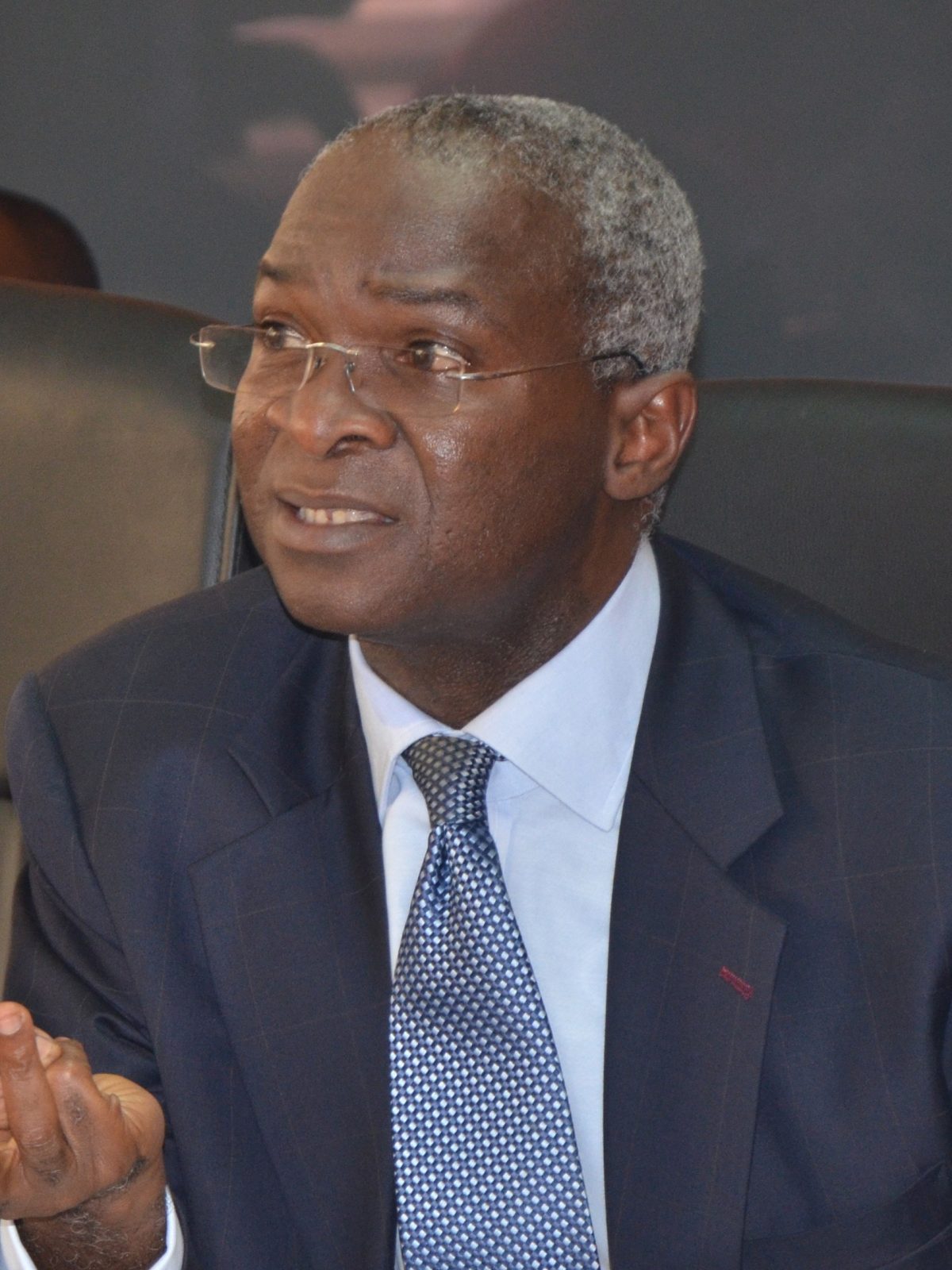 Inscribing Coat Of Arms On National Flag A Misuse Of National Colours – Fashola