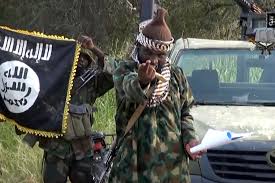 20 Boko Haram Members Killed In A Clash