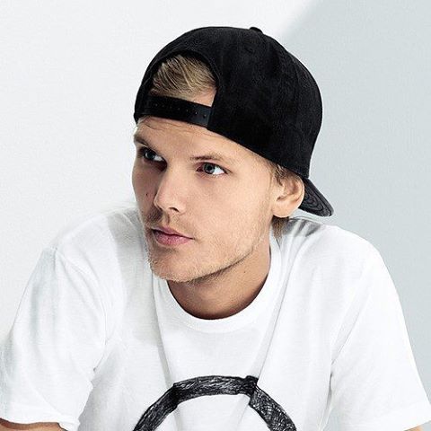 Avicii’s Family Released Statement Implying He Committed Suicide