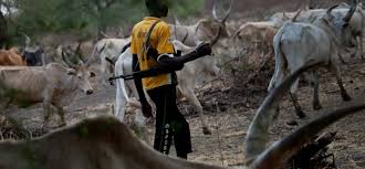 Herdsmen Kill 18 Persons In Fresh Plateau Midnight Attack