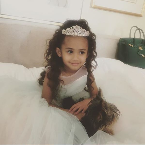 Chris Brown ‘Splashes $30,000 On His Daughter’s 4th Birthday Bash’