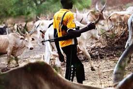 Herdsmen Kill 7, Injure 6 in Benue