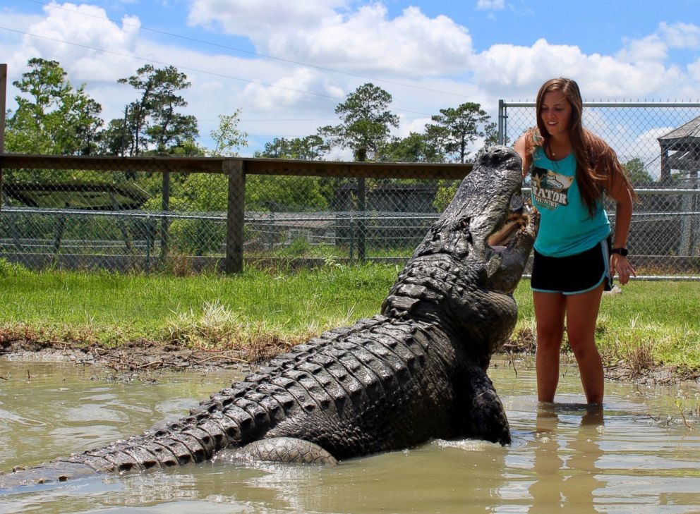 Graduating College Student Dangerously Poses With A 14-Foot Long And 1,000-Pound Alligator