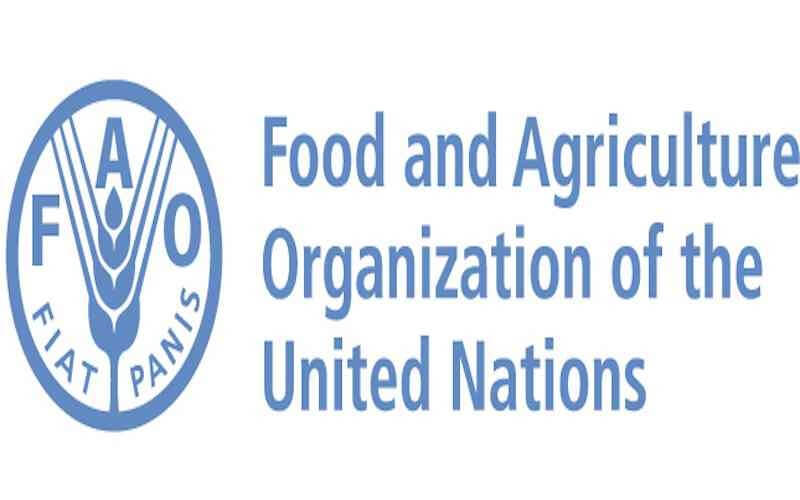 FAO To Install 100 FFS In N’east To Boost Agriculture