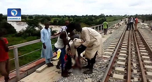 Train Crushes 52 Cows To Death In Kaduna