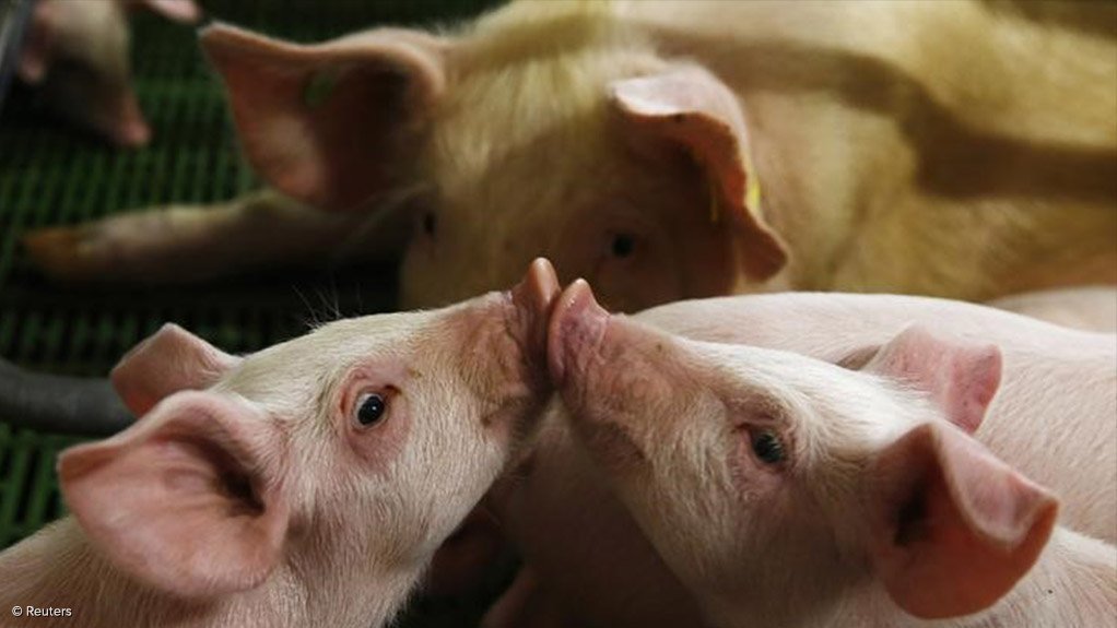 China To Investigate Illegal Activity At Slaughterhouses