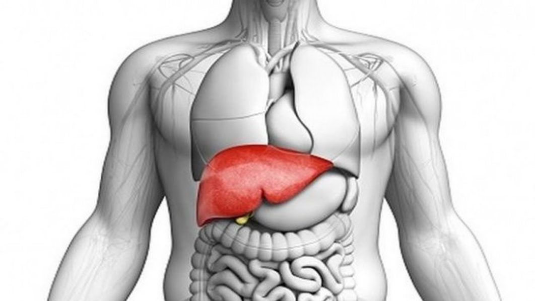 Health Matters: Liver