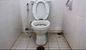 World Toilet Day: 120m Nigerians Lack Access To Decent Toilets – WaterAid