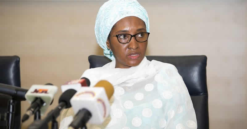 FEC Approves N200m Loan To Finance Electrification Project