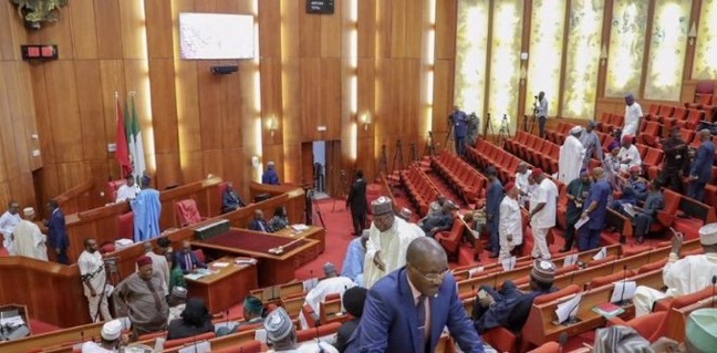 Senate Queries Appointment Of New NYSC DG