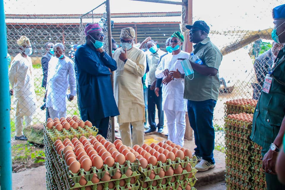 Oyetola Seeks Private Partnership To Revamp Agric Sector