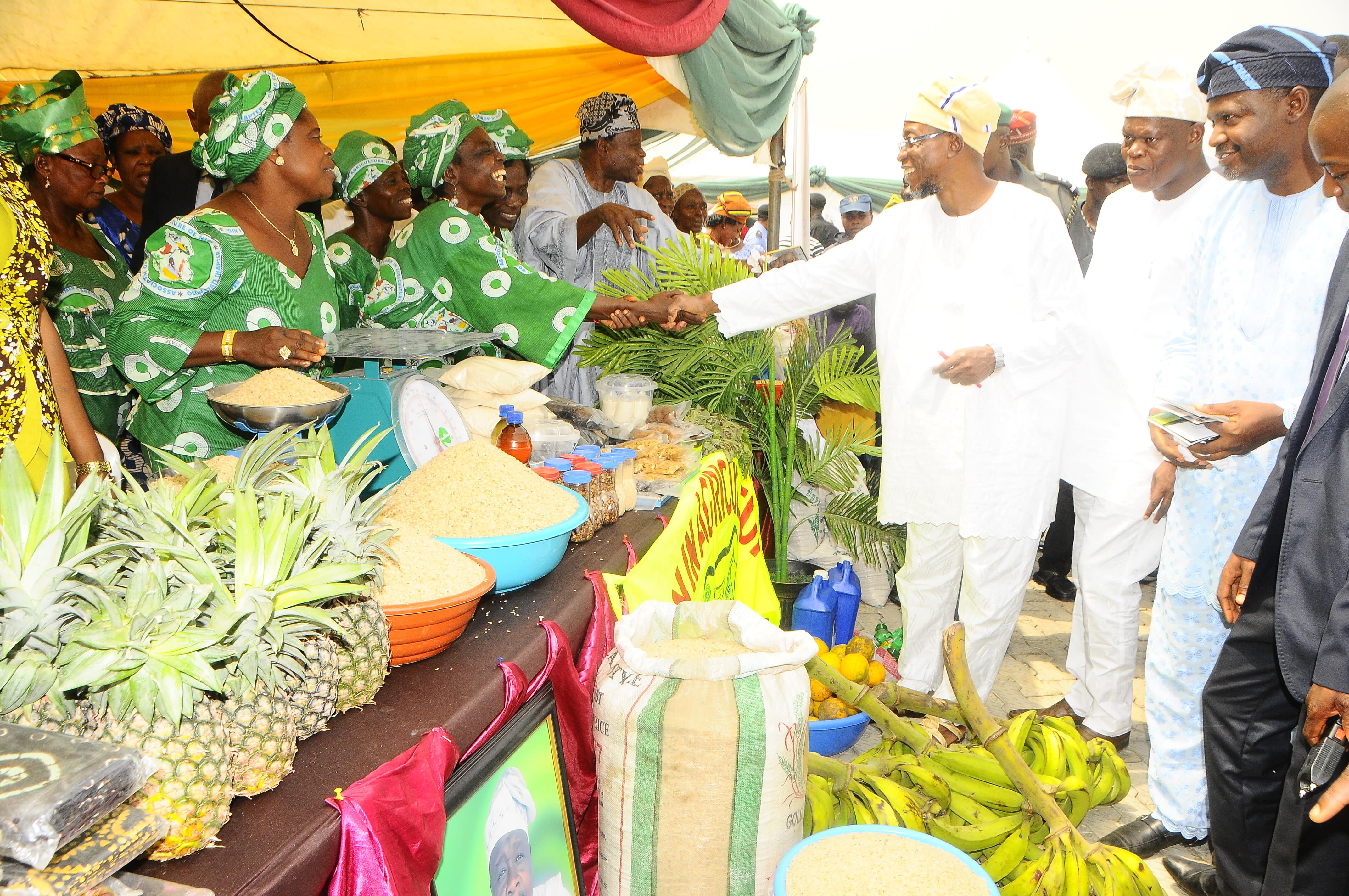 The Novelty Of “Policy For The People” In Osun State