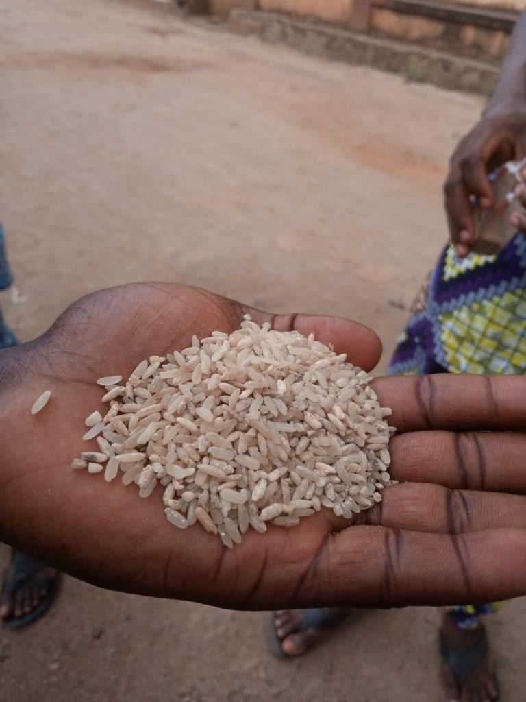 Palliative: Would Oyetola Ever Name, Shame Suppliers Of Adulterated Rice?