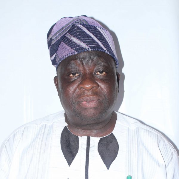 1999 Constitution Does Not Recognise LG Autonomy – Osun ALGON Chair