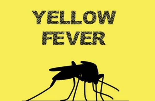 Osun To Begin Mass Vaccination Campaign Against Yellow Fever Nov 20