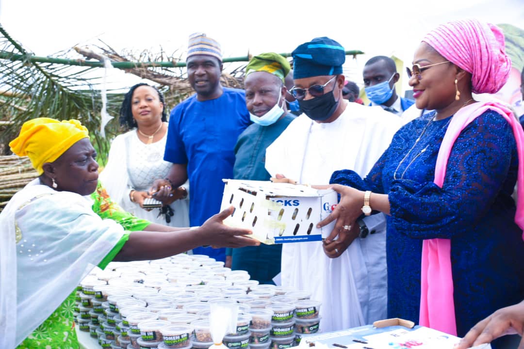 IleriOluwa Development Initiative Compliments My Administration’s Goal of Providing Food security – Oyetola