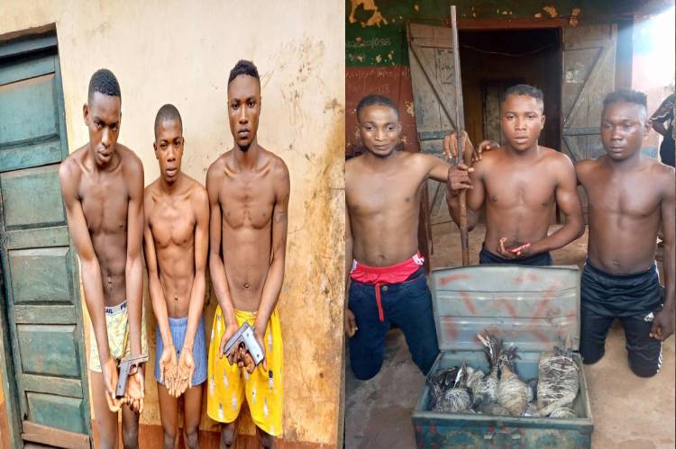 Security operatives Apprehend Kidnappers, Armed Robbers In Kogi