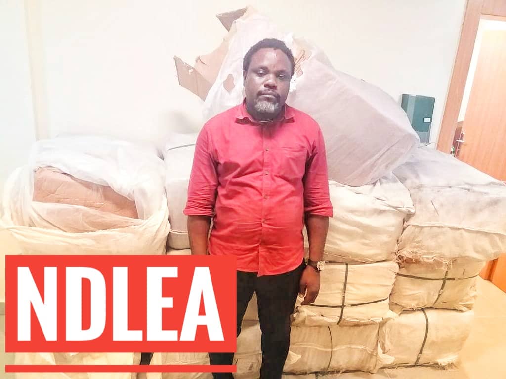 NDLEA Intercepts Drugs, €809,850 At Lagos Airport