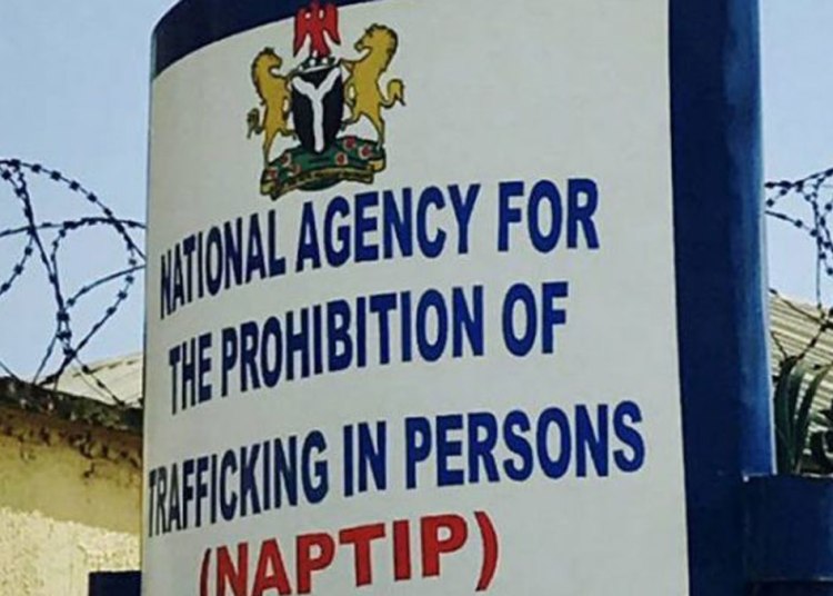 NAPTIP Partners Facebook, U.S. Centre To Tackle Human Trafficking