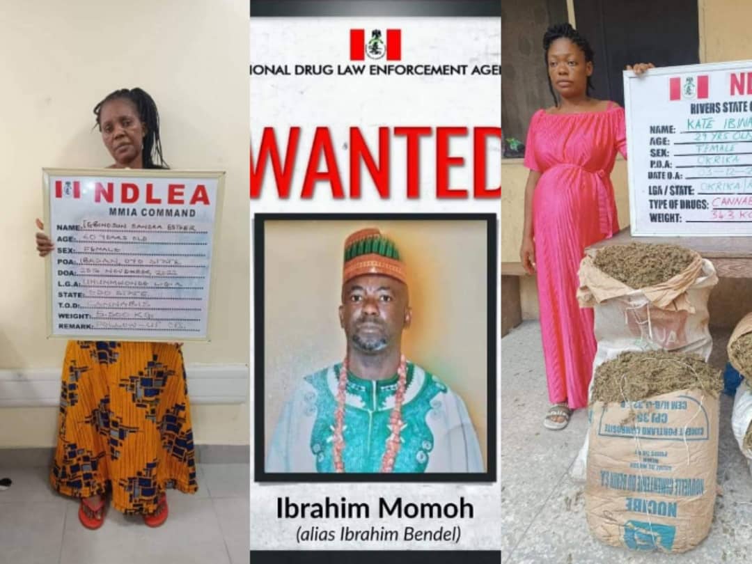 NDLEA Declares Abuja Drug Lord Ibrahim Bendel Wanted