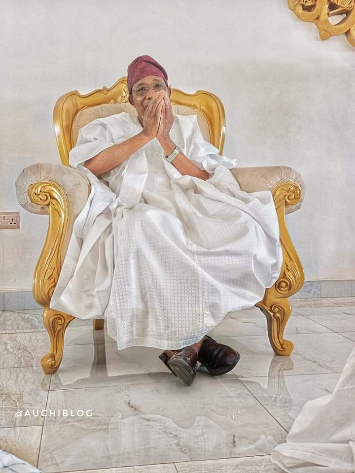 Embracing Unity In Diversity, Key To Strengthening The African Race – Aregbesola